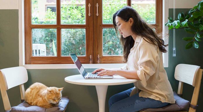 Hybrid working as productive as full-time office attendance