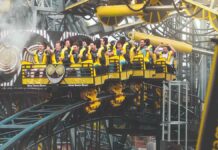 Employee Benefits Live 2024: Unknotting your global benefits tangle