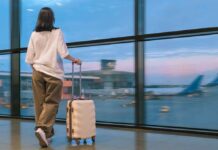 Why ministers must restore the EU youth mobility scheme