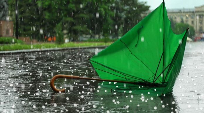 Umbrella company tax liabilities to be overhauled