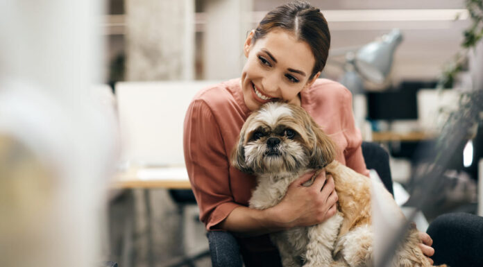 Cuddles and petting in the office. But not with humans