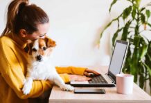 Dog owners more likely to want to work from home