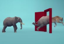 How to build a commercially-minded workforce