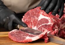 Immigration white paper: which jobs will be affected?