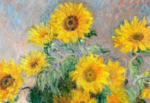 It’s all about the Monet: how art transforms offices