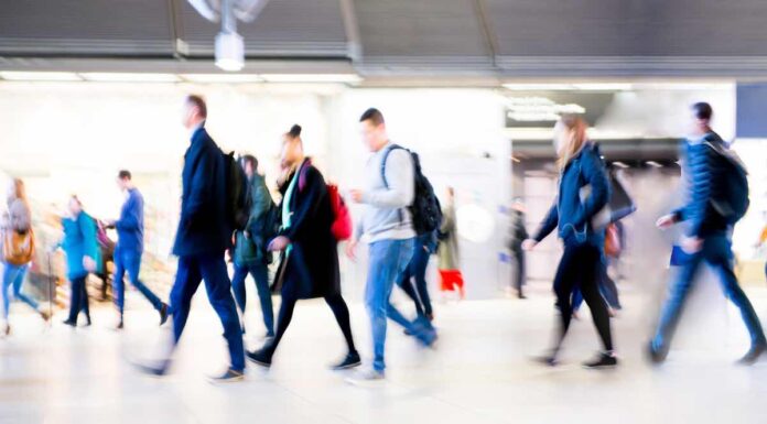 OBR official writes in support of immigration white paper aims