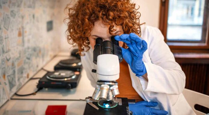 UK immigration costs for scientists 22 times higher than global average