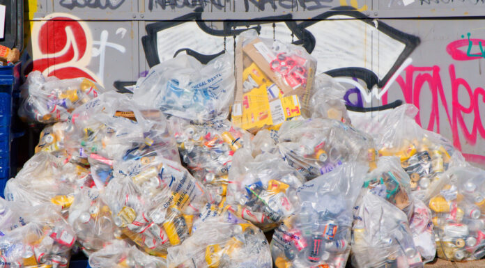 Birmingham bin strike escalates as agency staff vote for action