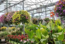 Autistic man wins disability discrimination case after unpaid trial