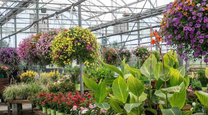 Autistic man wins disability discrimination case after unpaid trial