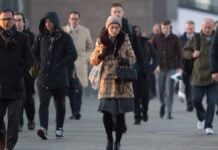 Labour market shows signs of recovery