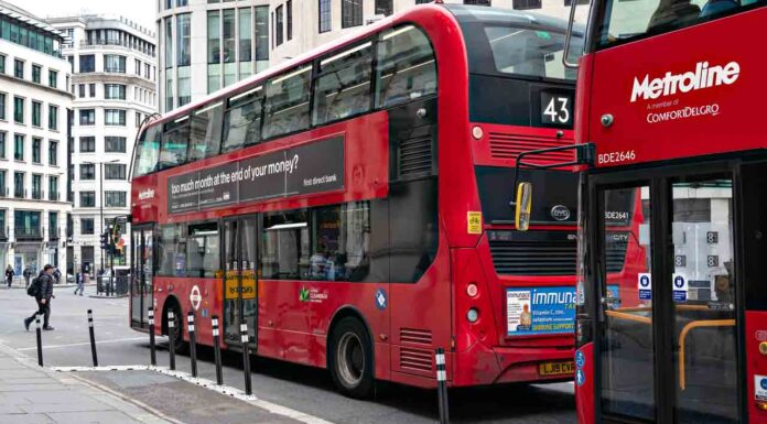 Tribunal upholds ‘hero’ bus driver’s dismissal