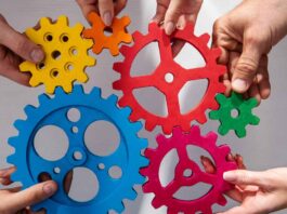 Skills-based organisations: What HR needs from L&D in 2026