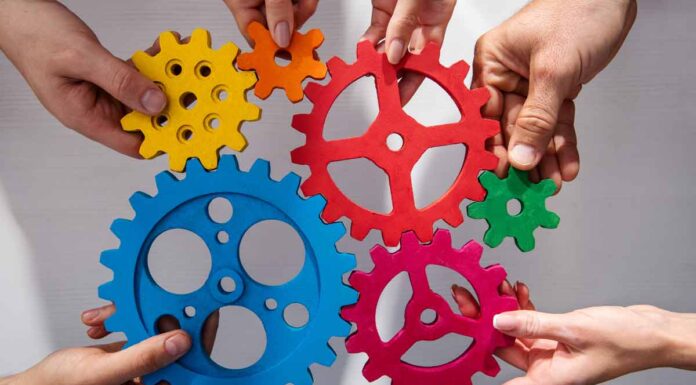 Skills-based organisations: What HR needs from L&D in 2026